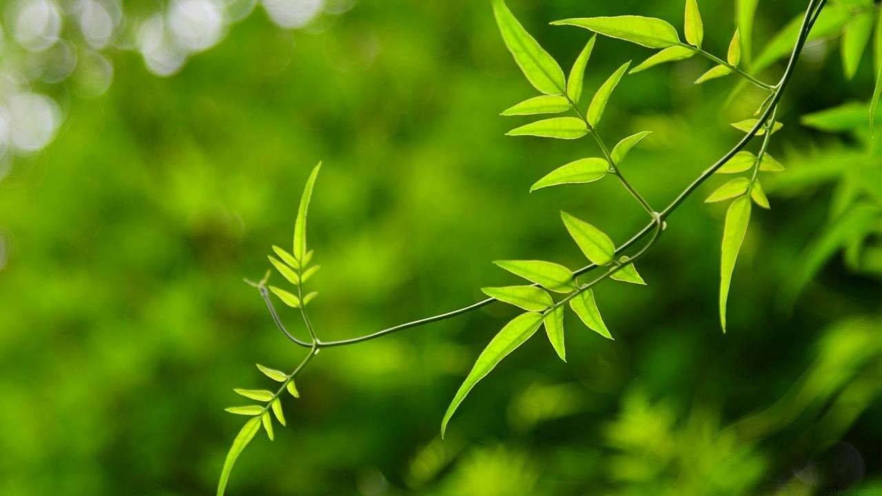 新人开直播的话术顺口溜(直播顺口溜大全100首)