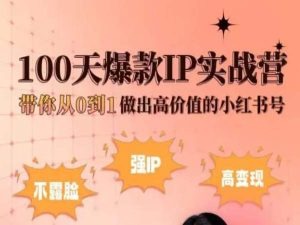 小红书100天爆款IP实战营，带你从0到1做出高价值的小红书号插图