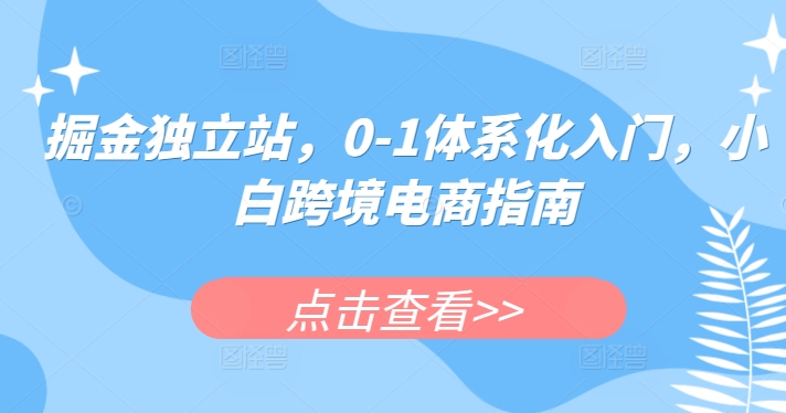 掘金独立站，0-1体系化入门，小白跨境电商指南插图