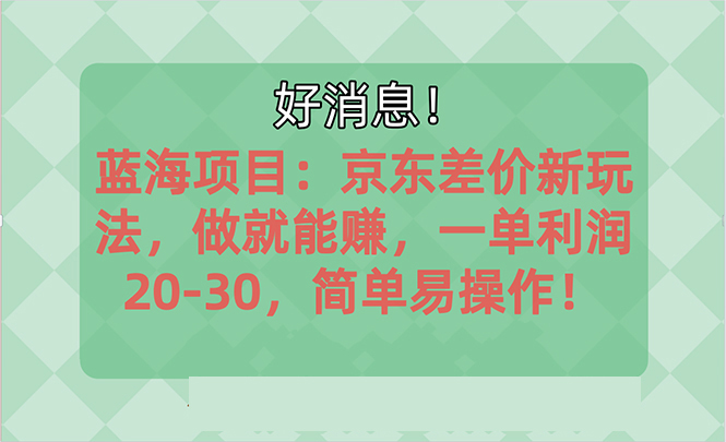 越早知道越能赚到钱的蓝海项目：京东大平台操作，一单利润20-30，简单…插图