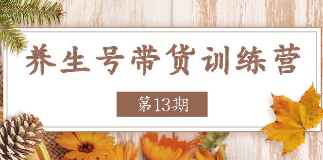 养生号带货训练营【第13期】收益更稳定的玩法，让你带货收益爆炸插图