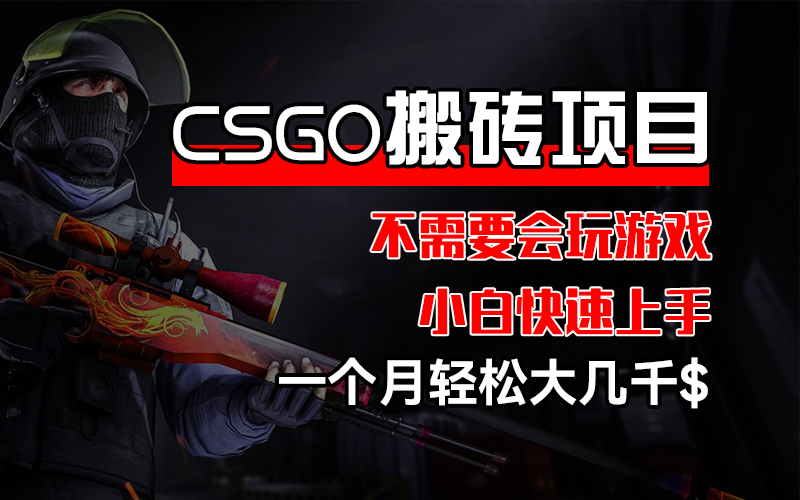 CSGO 装备搬砖项目，操作简单，不需要会玩游戏，小白也能快速上手，一…插图